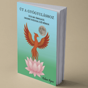 Út a gyógyuláshoz könyv