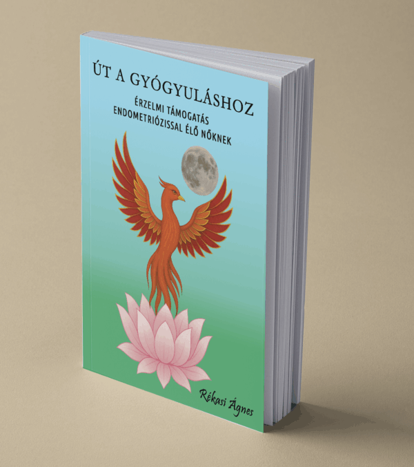 Út a gyógyuláshoz könyv