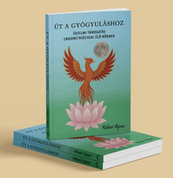 Út a gyógyuláshoz könyv - Image 3