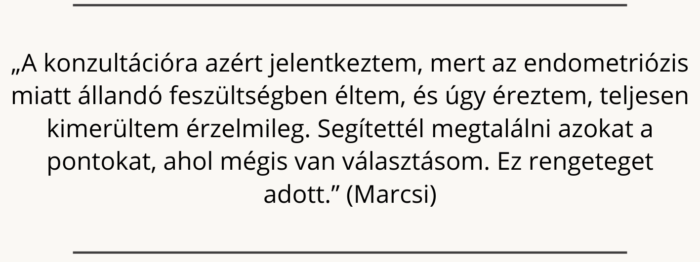 Ügyfél visszajelzések (6)